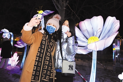 世园公园3900盏花灯正式点亮