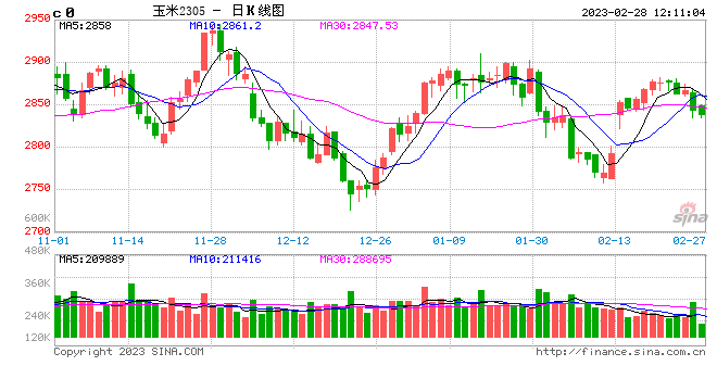 中粮期货：深加工利润下滑，玉米高位震荡