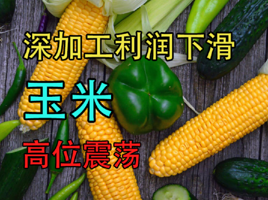 中粮期货：深加工利润下滑，玉米高位震荡