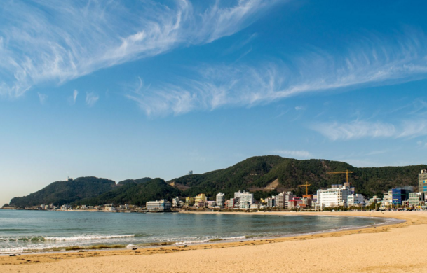 {賭馬}(韩国釜山旅游景点最出名在哪)