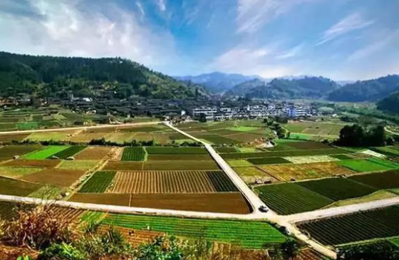 {21點}(新型农业经营主体发展存在的问题)