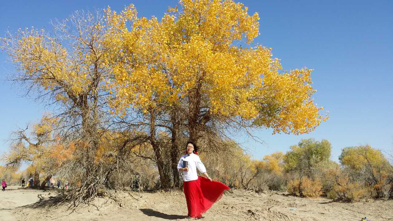 {網上賭場}(胡杨林旅游攻略)