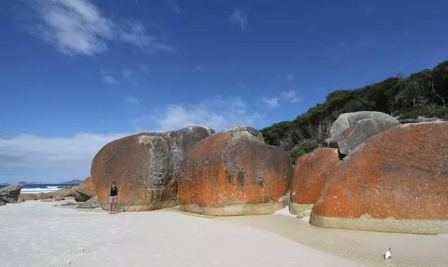 {ONEBETS}(切勿前往澳洲旅游英文)